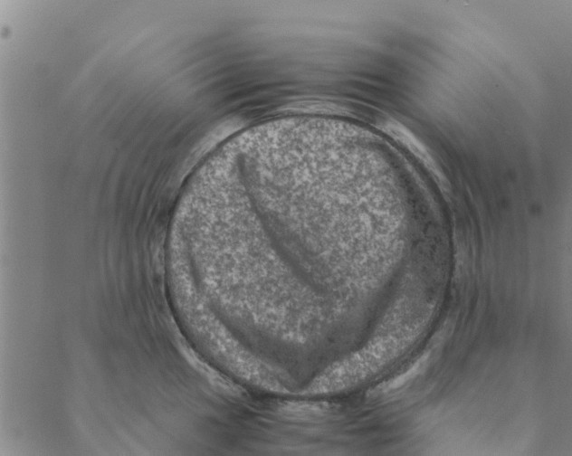 X0000088401049200706191353