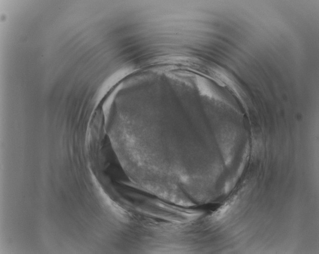 X0000088401050200706191353