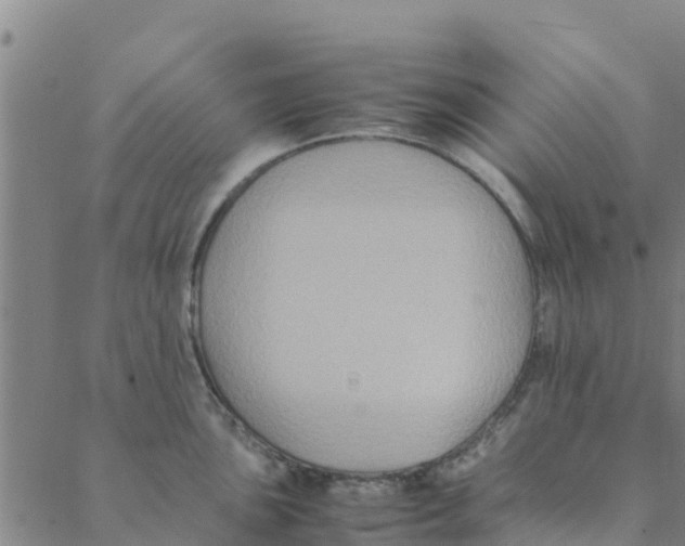 X0000088401051200706191353