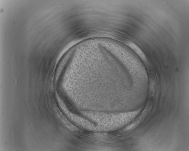 X0000088401052200706191353