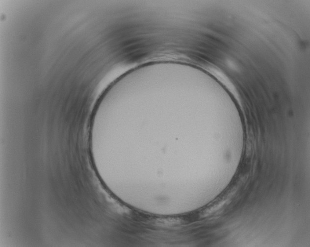 X0000088401053200706191353