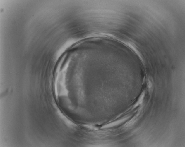 X0000088401054200706191353