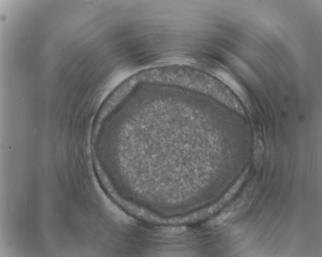 X0000088401055200706191353