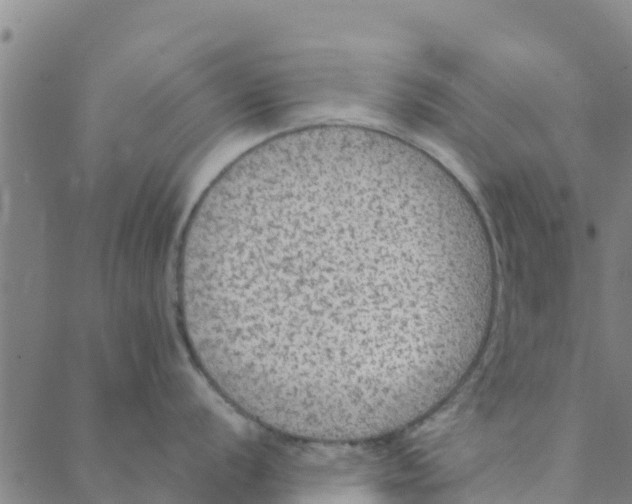 X0000088401056200706191353