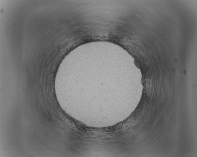 X0000088401057200706191352