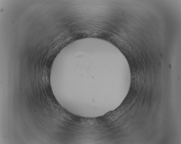 X0000088401058200706191352