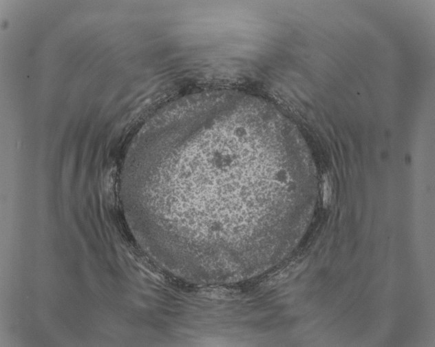 X0000088401059200706191352