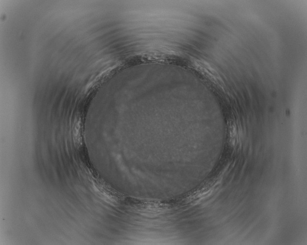 X0000088401060200706191352