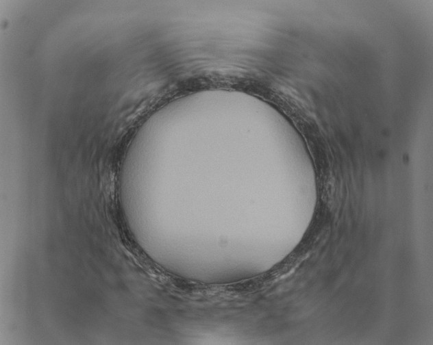 X0000088401061200706191352