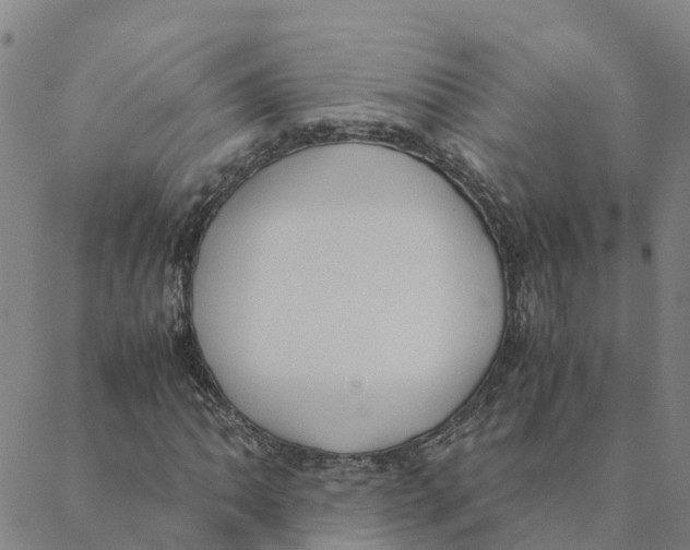 X0000088401062200706191352