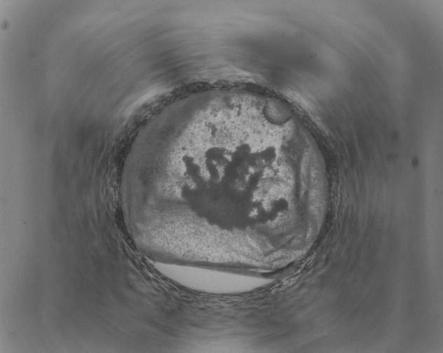 X0000088401063200706191352