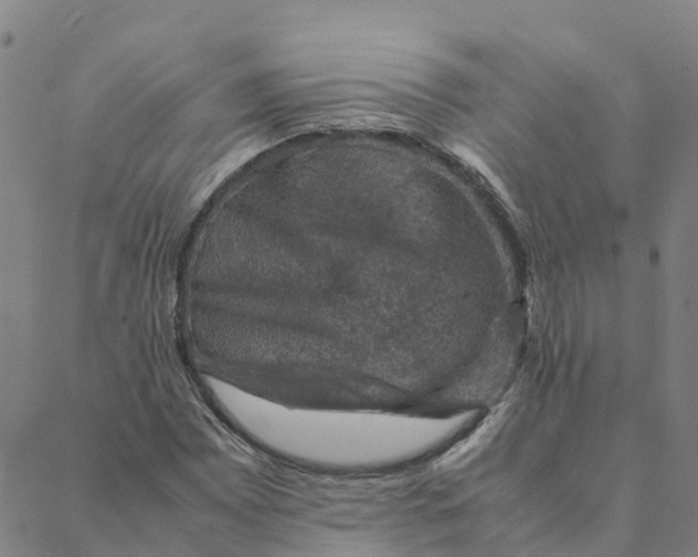 X0000088401065200706191352