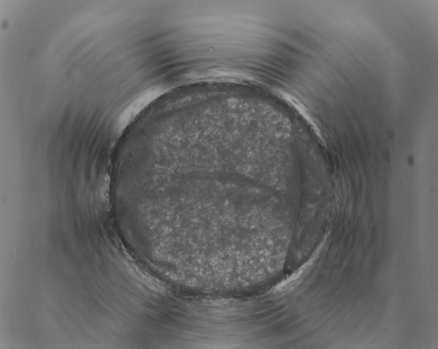 X0000088401066200706191352