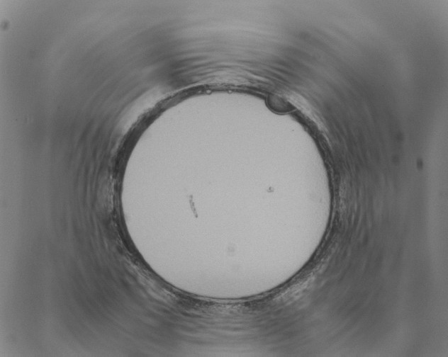 X0000088401067200706191352