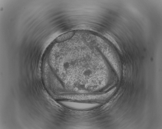 X0000088401068200706191352