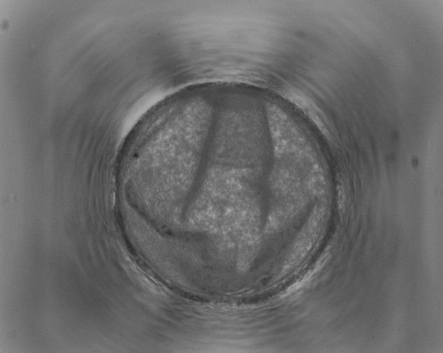 X0000088401069200706191352