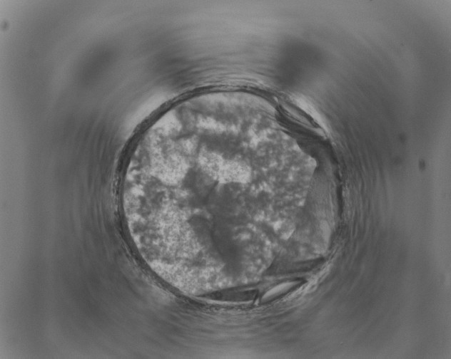 X0000088401071200706191352