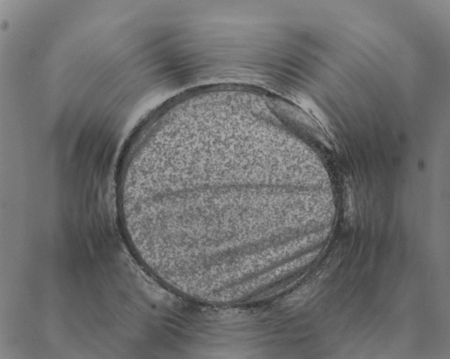 X0000088401072200706191352