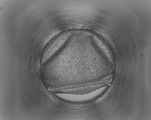 X0000088401073200706191352