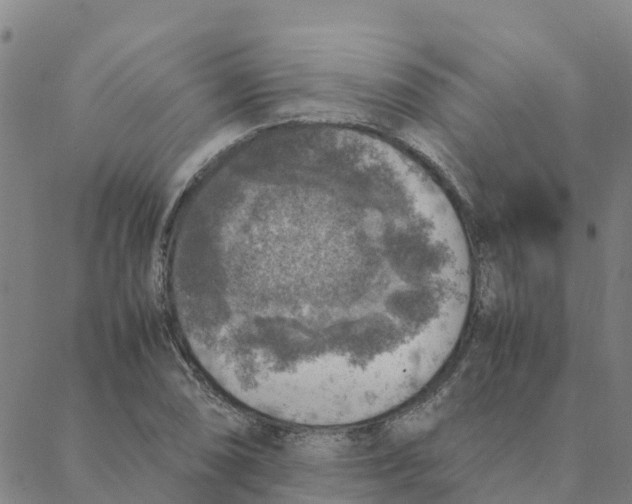 X0000088401074200706191352