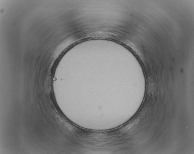 X0000088401075200706191352