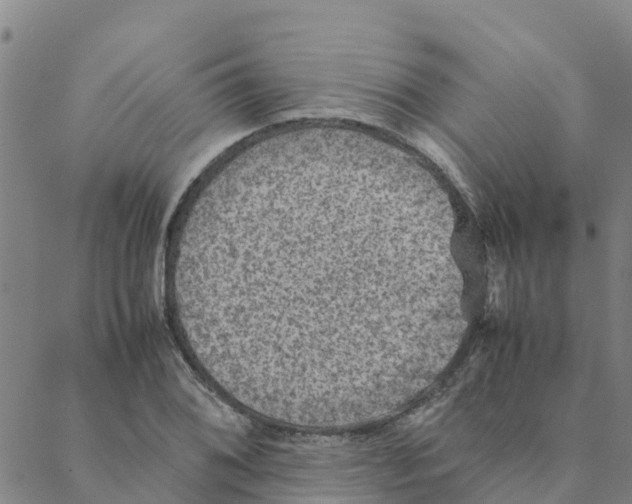 X0000088401076200706191352