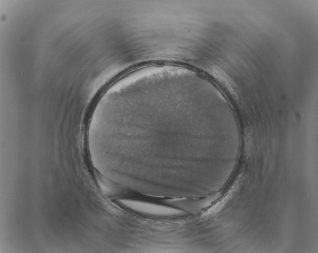 X0000088401077200706191352