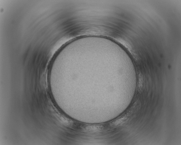 X0000088401078200706191352