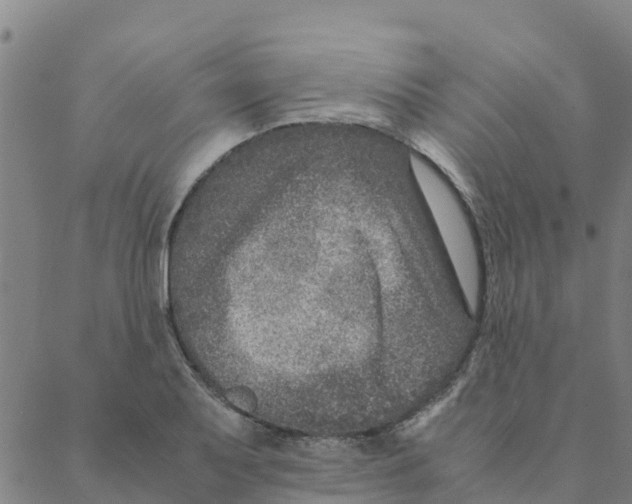 X0000088401079200706191352