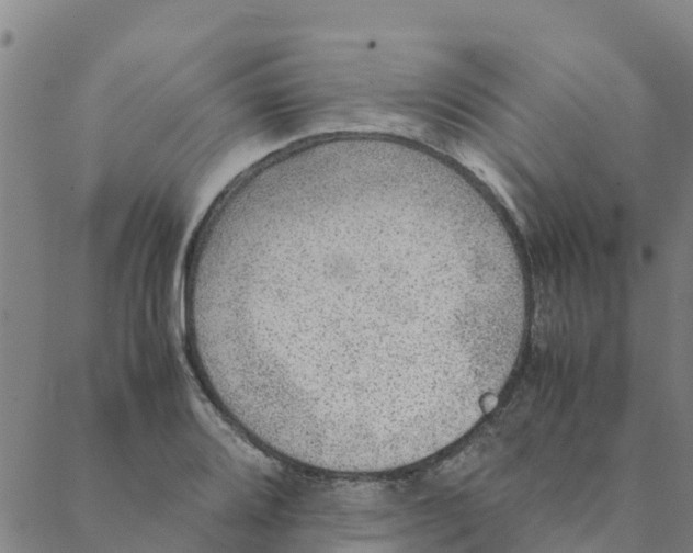 X0000088401080200706191352