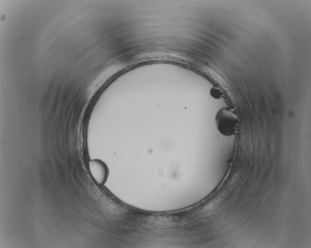 X0000088401082200706191351