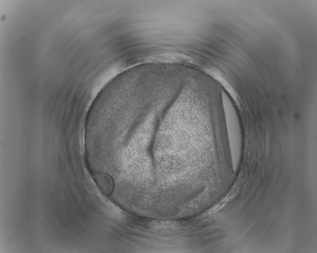 X0000088401083200706191351