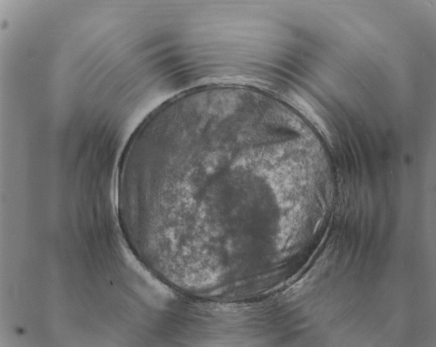 X0000088401084200706191351