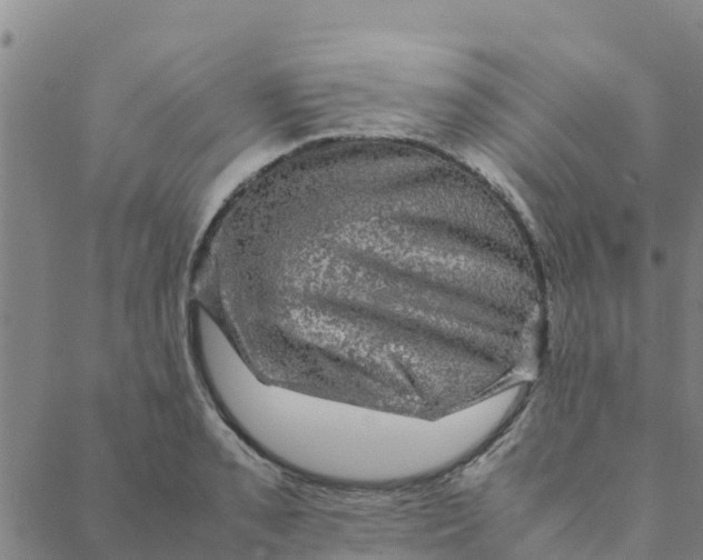 X0000088401085200706191351