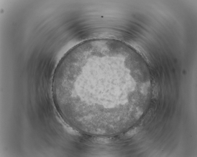 X0000088401086200706191351