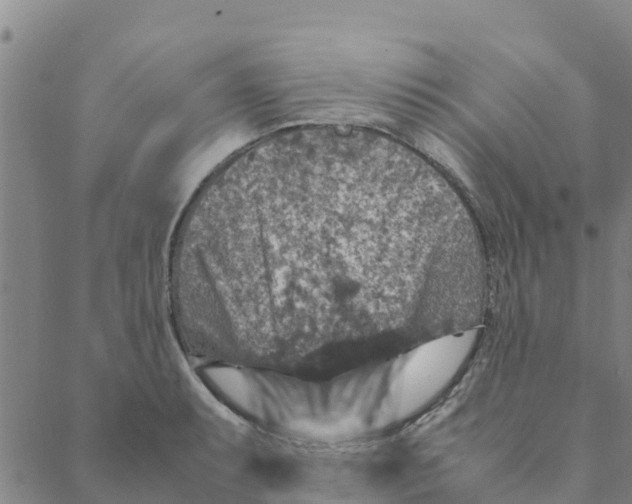 X0000088401087200706191351