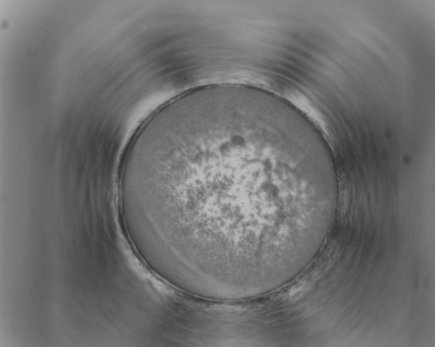 X0000088401088200706191351