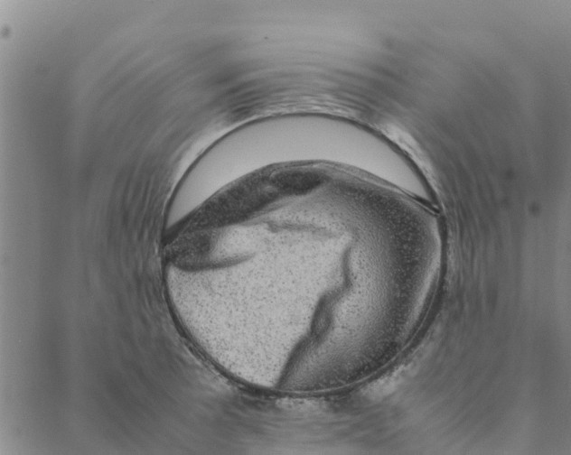 X0000088401089200706191351