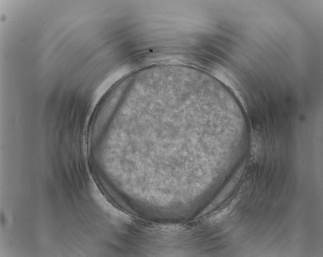 X0000088401090200706191351