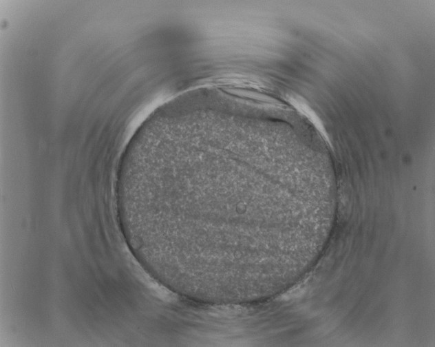 X0000088401091200706191351