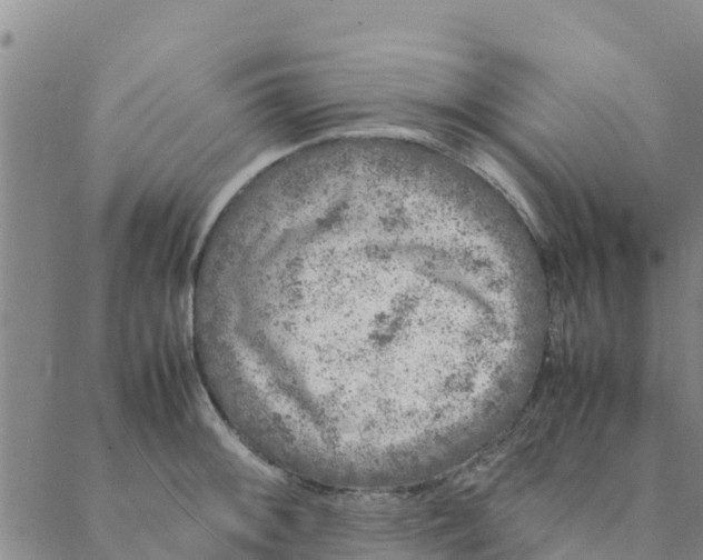 X0000088401092200706191351