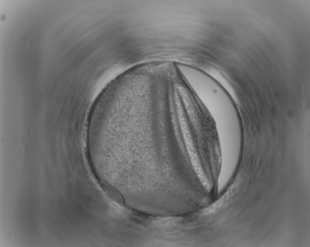 X0000088401093200706191351