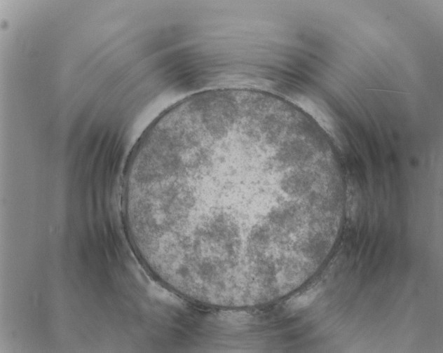 X0000088401094200706191351