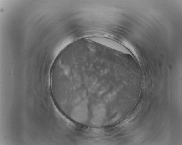 X0000088401095200706191351