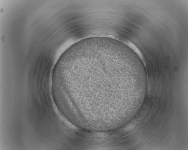 X0000088401096200706191351