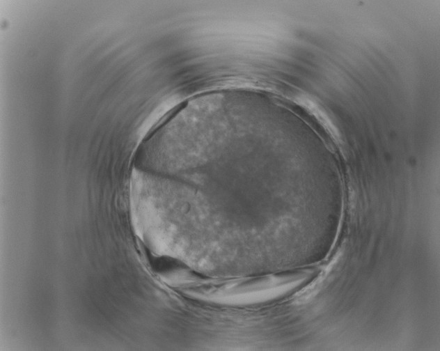 X0000088401097200706191351