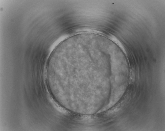 X0000088401098200706191351