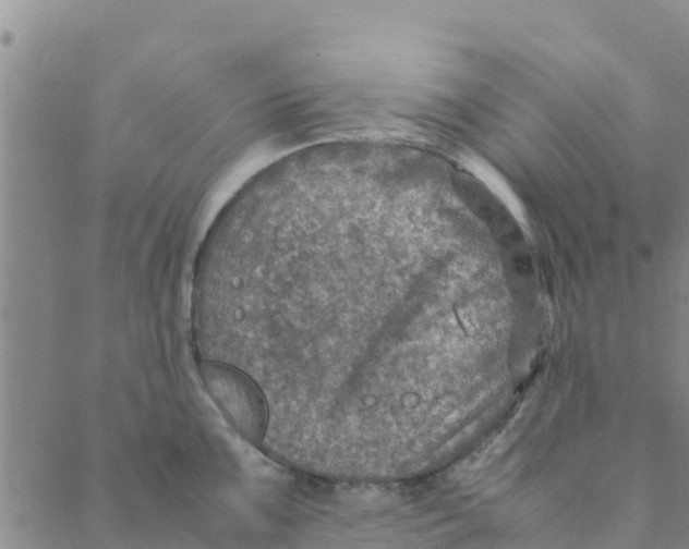 X0000088401099200706191351