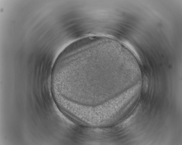 X0000088401100200706191351