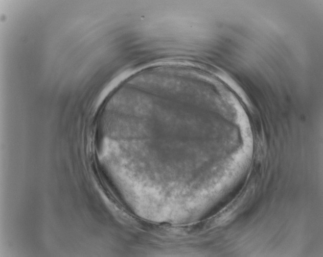 X0000088401101200706191351